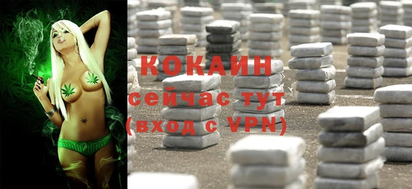 крисы Новокубанск