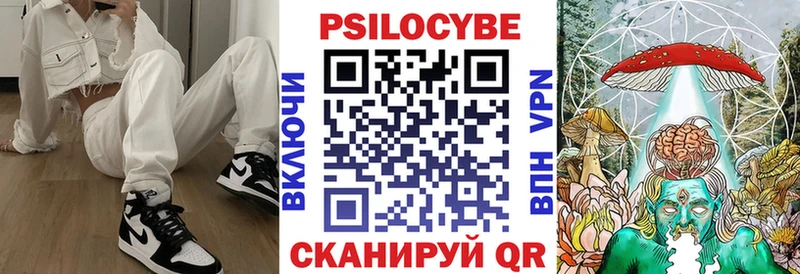 что такое Мытищи Галлюциногенные грибы прущие грибы