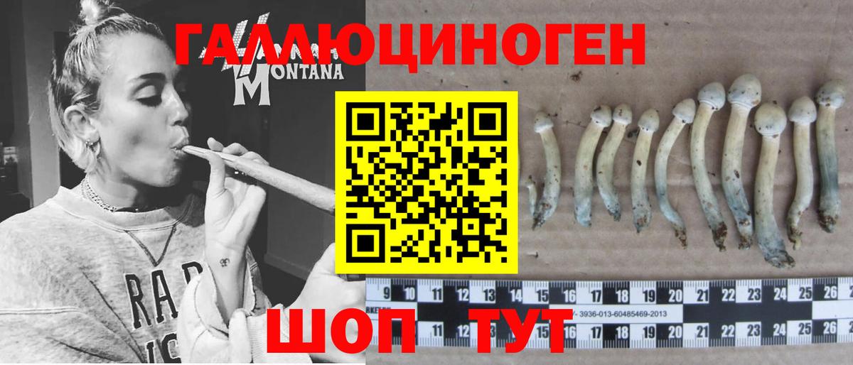 Псилоцибиновые грибы прущие грибы Мытищи