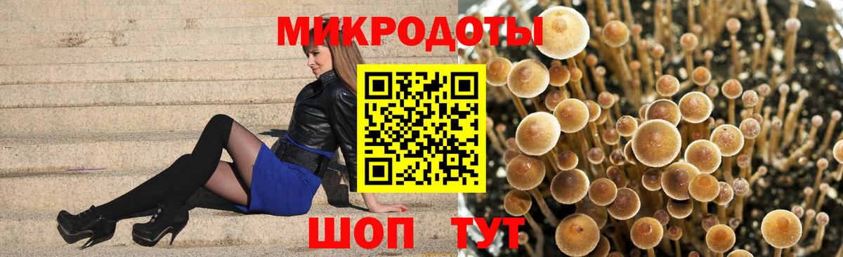 Галлюциногенные грибы Psilocybe  Мытищи  Галлюциногенные грибы ЛСД 