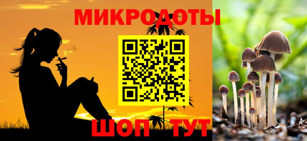 Псилоцибиновые грибы Cubensis Мытищи