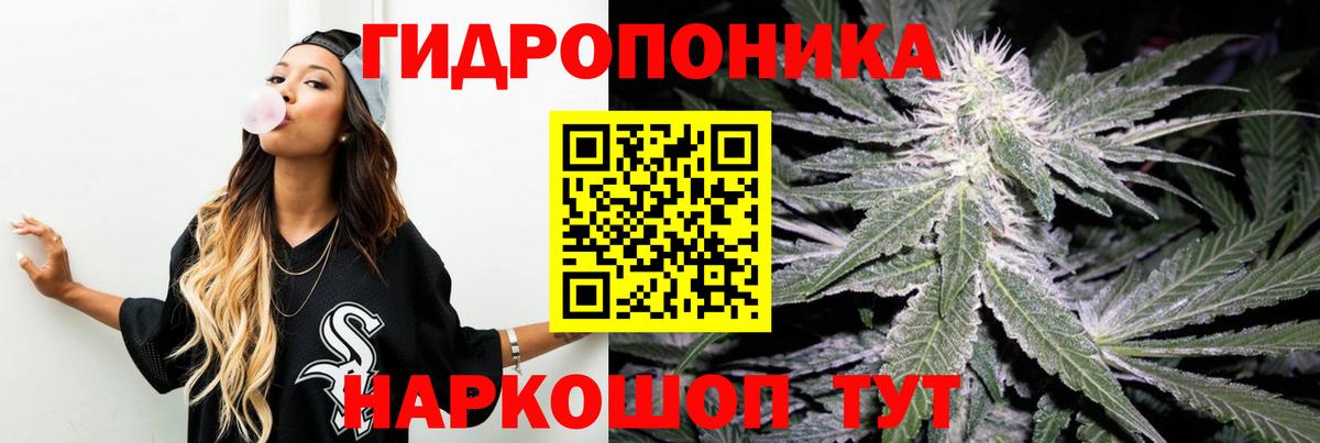 Шишки марихуана LSD WEED  Бошки марихуана ГИДРОПОН  Канабис Bruce Banner  Канабис конопля  Мытищи  Вход с VPN 